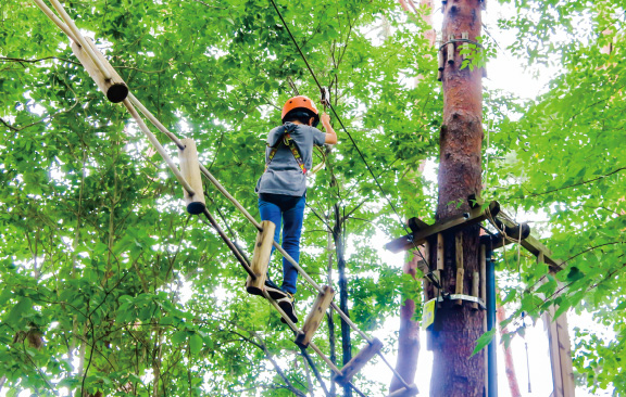 フォレストアドベンチャー