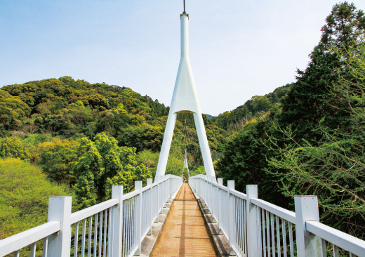 加茂ゆらりんこ橋